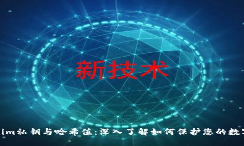 tokenim私钥与哈希值：深入了解如何保护您的数字资产