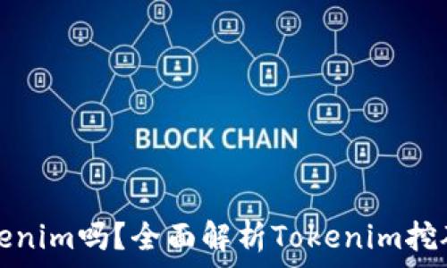   

挖矿直接用Tokenim吗？全面解析Tokenim挖矿的优势与挑战