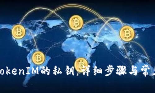 如何导出TokenIM的私钥：详细步骤与常见问题解答