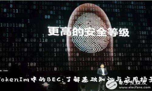 TokenIm中的BEC：了解基础知识与应用场景