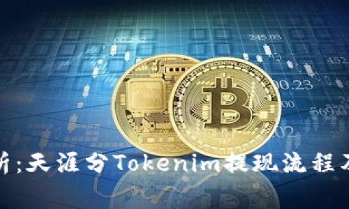 : 深度解析：天涯分Tokenim提现流程及注意事项