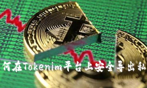 如何在Tokenim平台上安全导出私钥