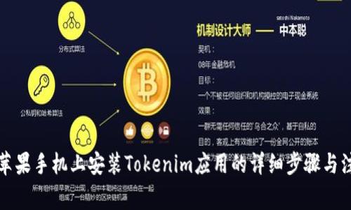 如何在苹果手机上安装Tokenim应用的详细步骤与注意事项