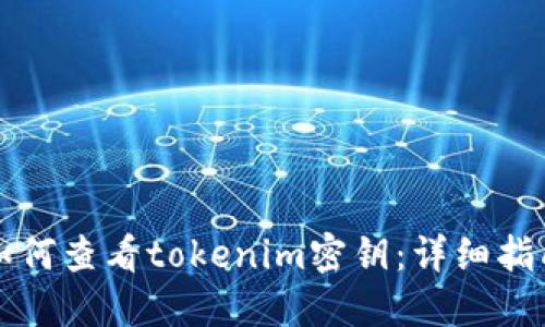 如何查看tokenim密钥：详细指南