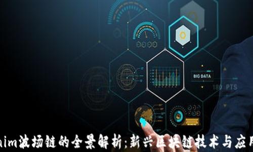 
Tokenim波场链的全景解析：新兴区块链技术与应用前景