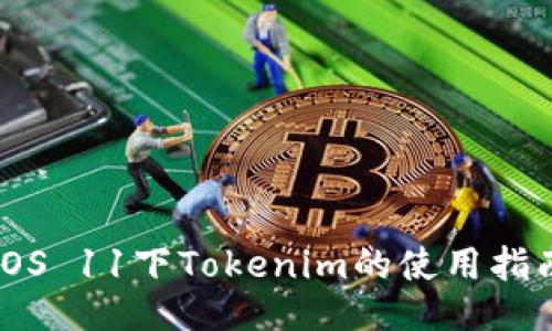 iOS 11下Tokenim的使用指南