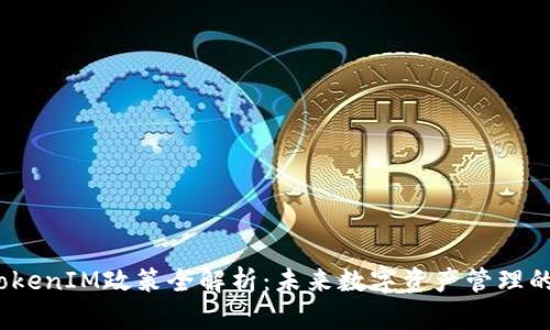 2023年TokenIM政策全解析：未来数字资产管理的核心保障