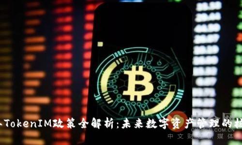 2023年TokenIM政策全解析：未来数字资产管理的核心保障