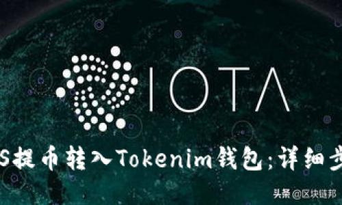 如何将EOS提币转入Tokenim钱包：详细步骤与指南