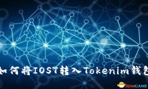 如何将IOST转入Tokenim钱包