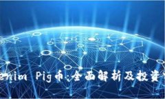 Tokenim Pig币：全面解析及投资前景