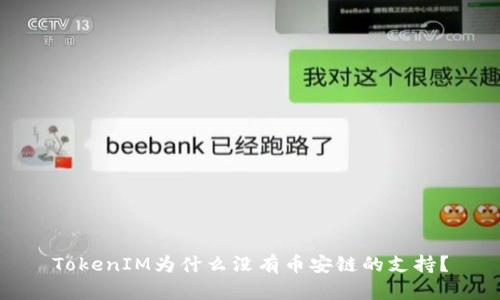 TokenIM为什么没有币安链的支持？