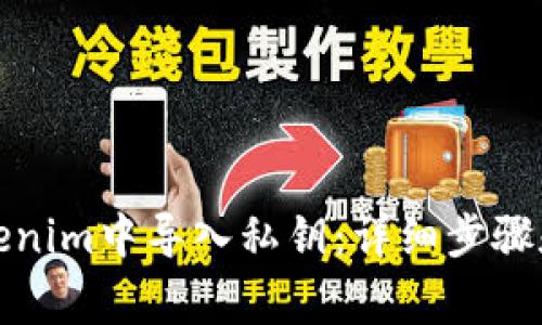 如何在Tokenim中导入私钥：详细步骤和注意事项