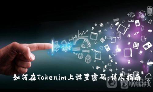 如何在Tokenim上设置密码：详尽指南