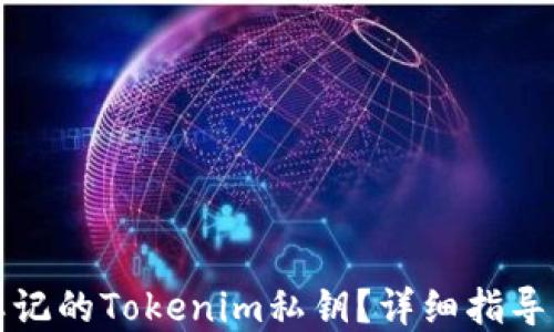 
如何找回忘记的Tokenim私钥？详细指导与解决方案