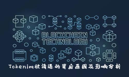 Tokenim被清退的背后原因及影响分析