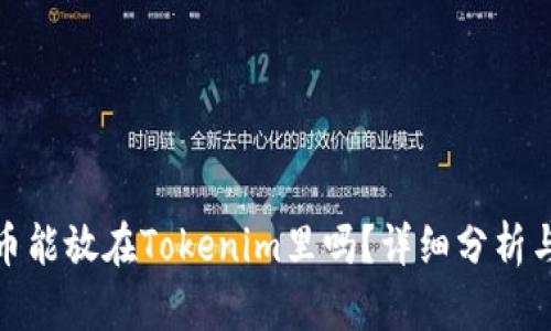 超灵币能放在Tokenim里吗？详细分析与解答