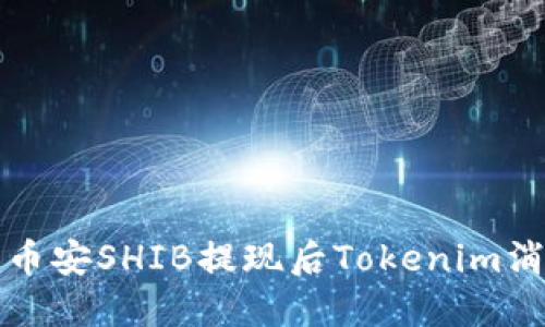 如何解决币安SHIB提现后Tokenim消失的问题