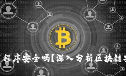 Tokenim中的应用程序安全吗？深入分析区块链安全性和用户隐私