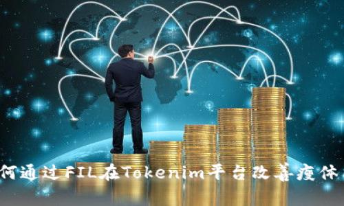 如何通过FIL在Tokenim平台改善瘦体质？