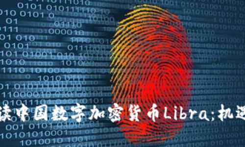 全面解读中国数字加密货币Libra：机遇与挑战