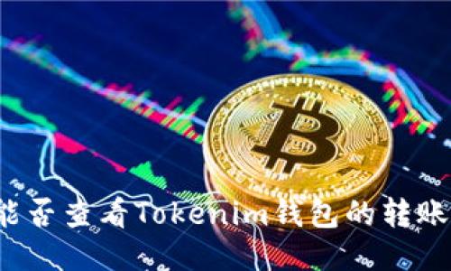 别人能否查看Tokenim钱包的转账记录？