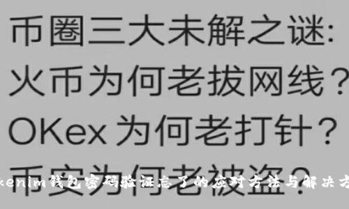 Tokenim钱包密码验证忘了的应对方法与解决方案