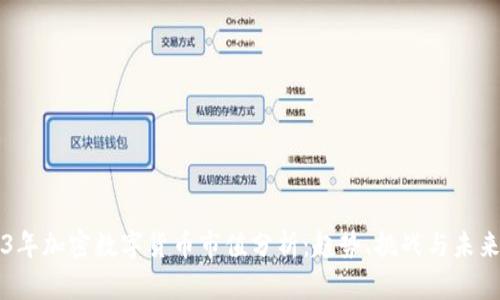 2023年加密数字货币市值分析：趋势、挑战与未来展望