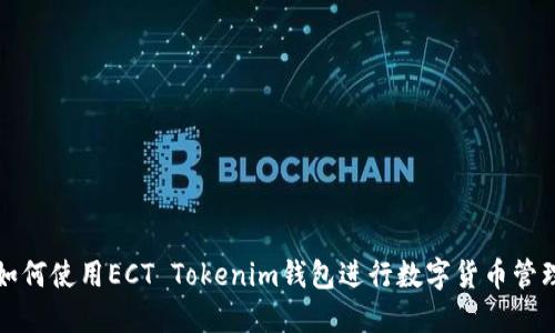 如何使用ECT Tokenim钱包进行数字货币管理