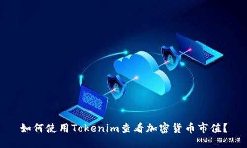 如何使用Tokenim查看加密货币市值？