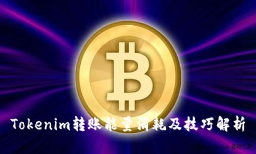 Tokenim转账能量消耗及技巧解析