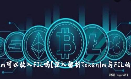 Tokenim可以放入FIL吗？深入解析Tokenim与FIL的兼容性