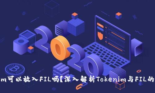 Tokenim可以放入FIL吗？深入解析Tokenim与FIL的兼容性