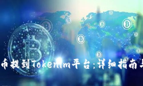 如何将Pig币提到Tokenim平台：详细指南与注意事项