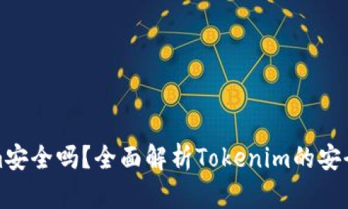 资金藏Tokenim安全吗？全面解析Tokenim的安全性与风险规避