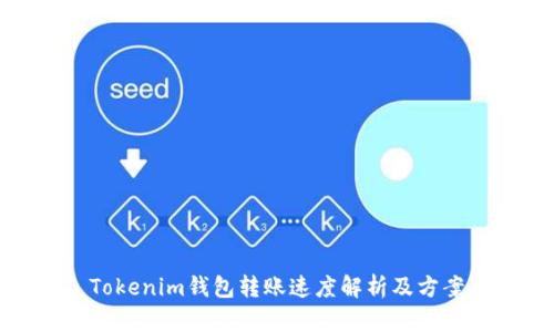 Tokenim钱包转账速度解析及方案