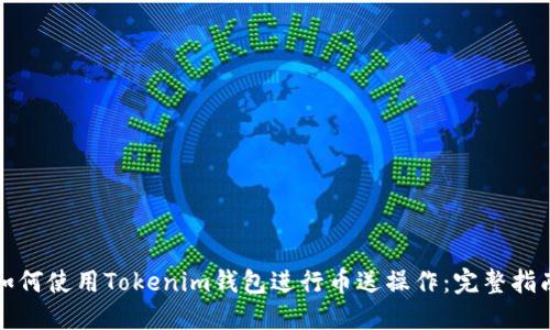 如何使用Tokenim钱包进行币送操作：完整指南