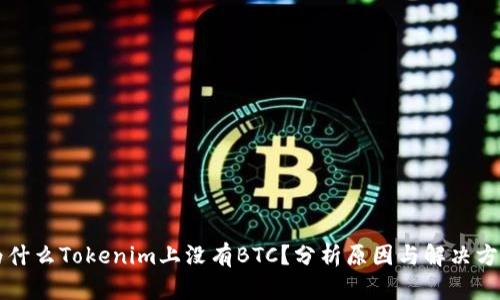 为什么Tokenim上没有BTC？分析原因与解决方案