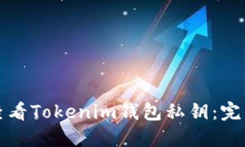 如何查看Tokenim钱包私钥：完整指南