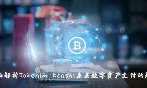 全面解析Tokenim Kcash：未来数字资产支付的趋势