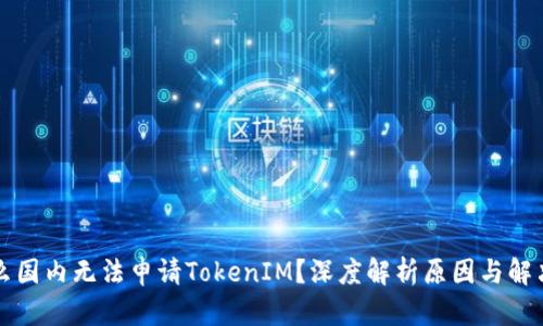 为什么国内无法申请TokenIM？深度解析原因与解决方案