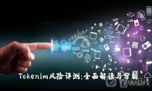  Tokenim风险评测：全面解读与分析