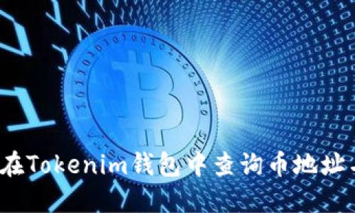 如何在Tokenim钱包中查询币地址名称？