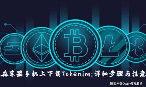 如何在苹果手机上下载Tokenim：详细步骤与注意事项