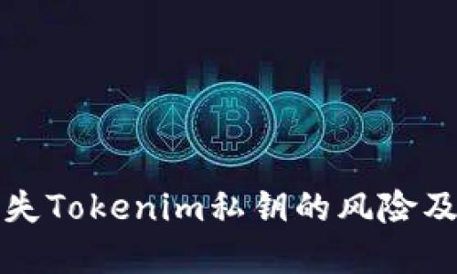 如何应对丢失Tokenim私钥的风险及其解决方案