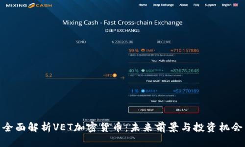 全面解析VET加密货币：未来前景与投资机会