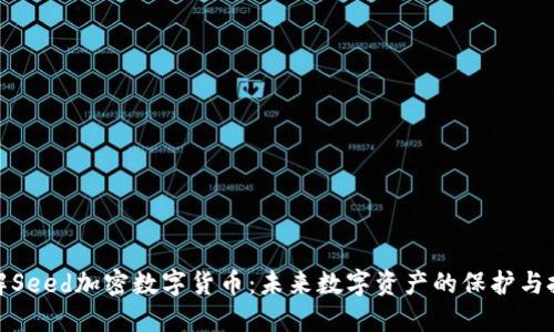 深入了解Seed加密数字货币：未来数字资产的保护与投资机会