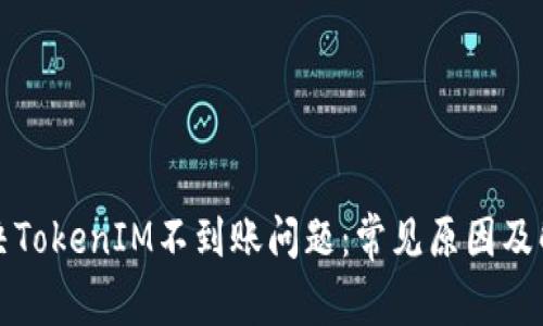 如何解决TokenIM不到账问题：常见原因及解决方案