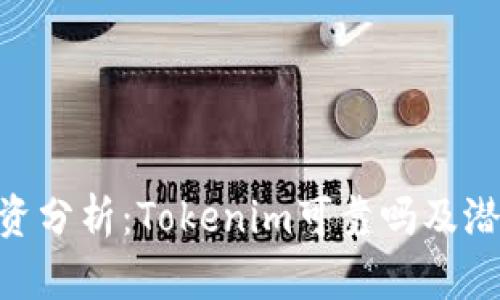 Tokenim投资分析：Tokenim可靠吗及潜在收益解读