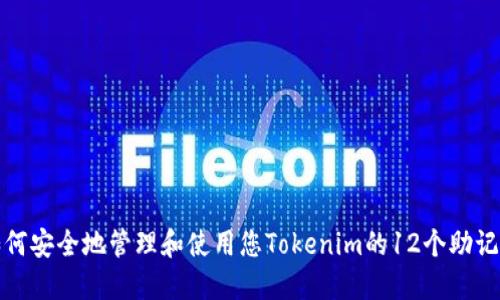 如何安全地管理和使用您Tokenim的12个助记词